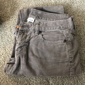 J Crew Little Gray Corduroy Pants in Size 26